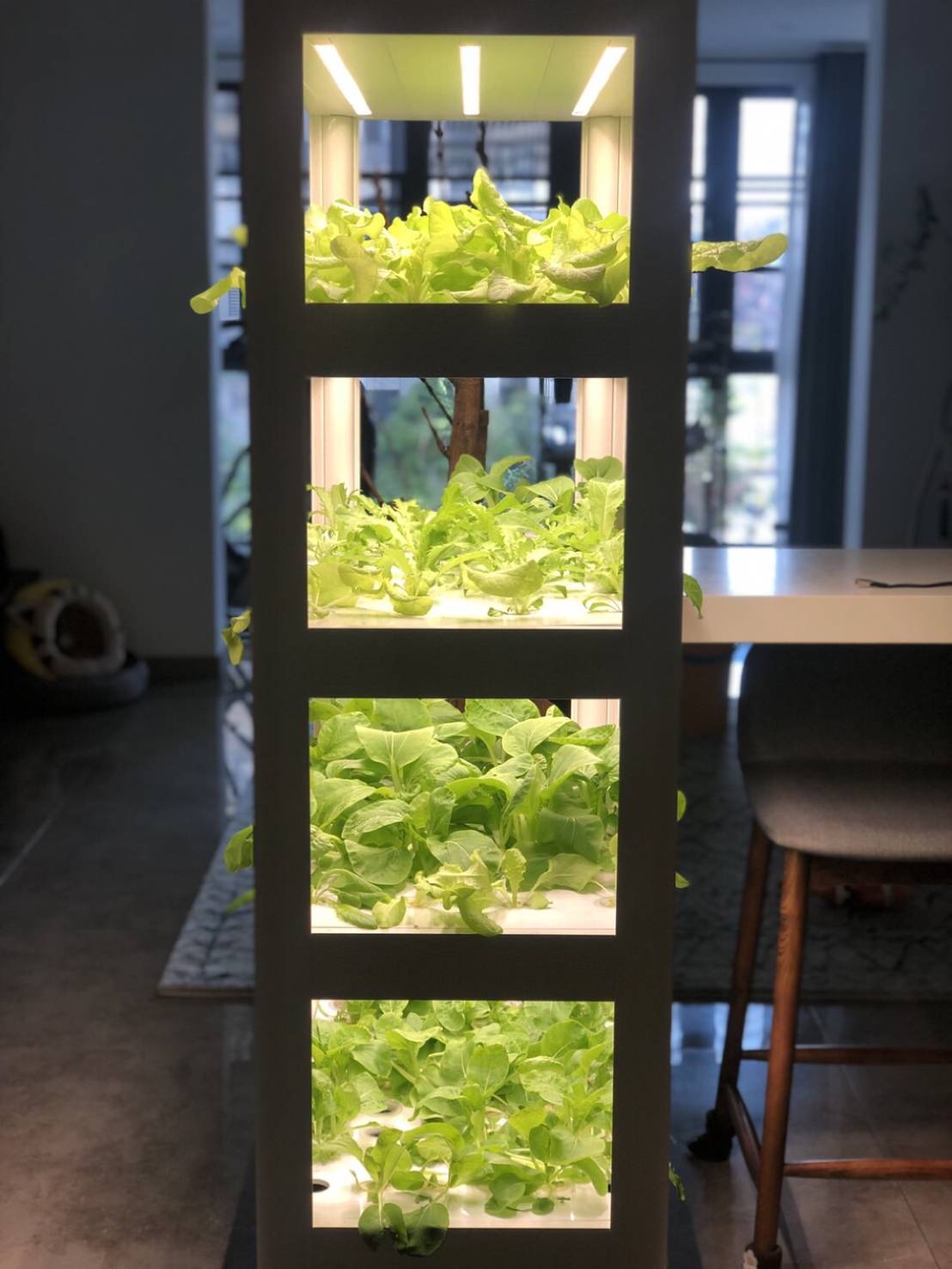 陽光仿生燈板 2