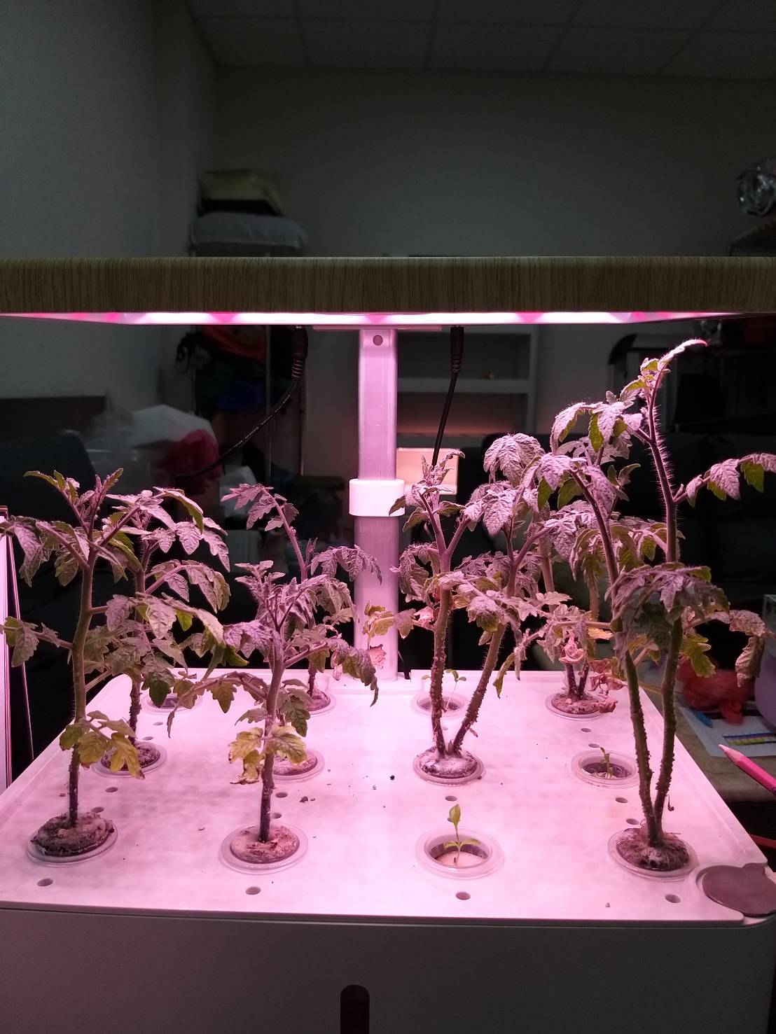 陽光仿生燈板 3